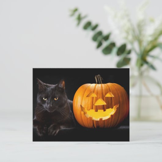 Halloween pomkin en zwarte kat briefkaart (Staand voorkant)