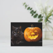Halloween pomkin en zwarte kat briefkaart (Staand voorkant)