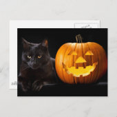 Halloween pomkin en zwarte kat briefkaart (Voorkant / Achterkant)
