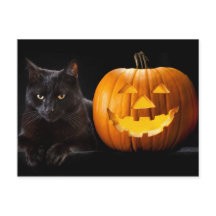Halloween pomkin en zwarte kat