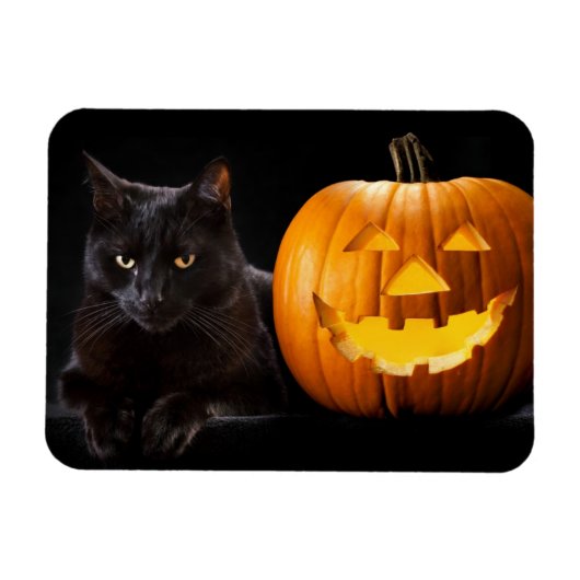 Halloween pomkin en zwarte kat magneet (Horizontaal)