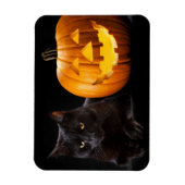 Halloween pomkin en zwarte kat magneet (Verticaal)