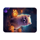 Halloween Pommeren met pompoenen eng Magneet (Horizontaal)