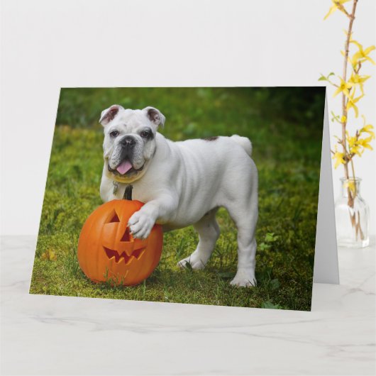 Halloween pompoen bulldog kaart (Gele Bloem)