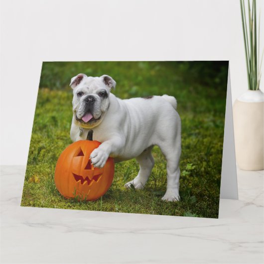 Halloween pompoen bulldog kaart (Voorkant)