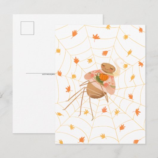 Halloween Pompoen Spice Cosy Spider Briefkaart (Voorkant / Achterkant)