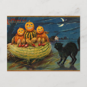  Halloween pompoenen Black Cat Briefkaart