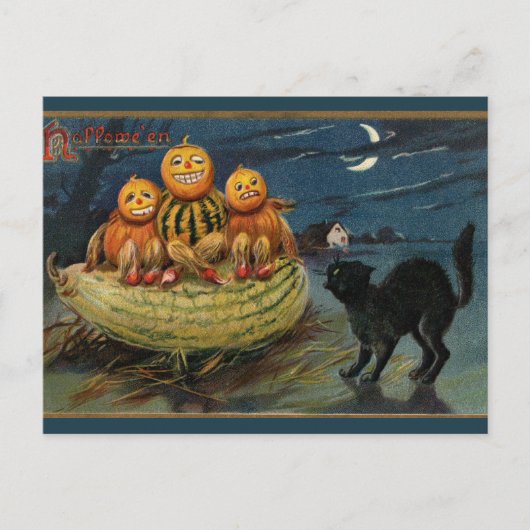  Halloween pompoenen Black Cat Briefkaart (Voorkant)