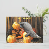 Halloween pompoenen en gator (Staand voorkant)