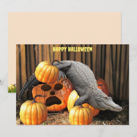 Halloween pompoenen en gator (Voorkant / Achterkant)
