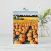 Halloween pompoenveld herfst feestdagenkaart (Staand voorkant)