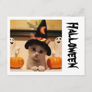 Halloween Post Card Briefkaart