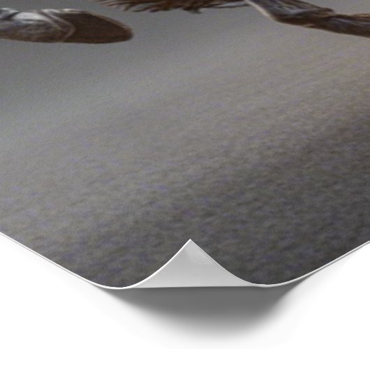 Halloween Poster (Hoek)