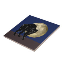 Halloween Prowling Black Cat op een Volle Maan