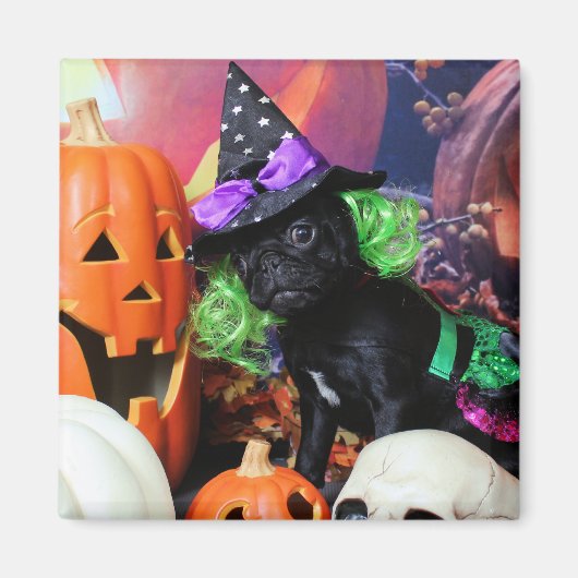 Halloween - Pug - Daisy Mae Magneet (Voorkant)