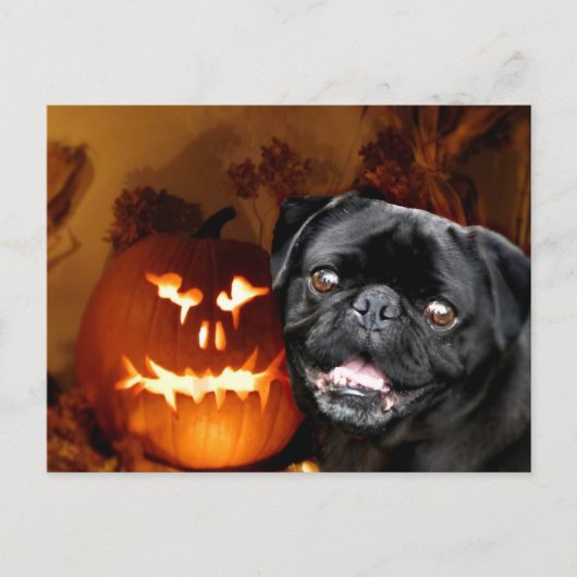 Halloween Pug Dog Briefkaart (Voorkant)