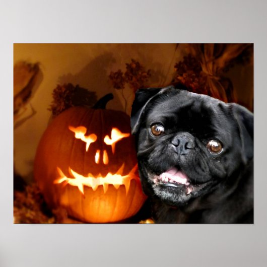 Halloween Pug Dog Poster (Voorkant)