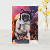 Halloween - Pug - Lily Lou Kaart (Gele Bloem)