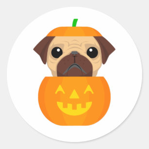 Halloween Pugkin Ronde Sticker