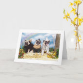 Halloween Pugs Lion Scarecrow Tinman Kaart (Gele Bloem)