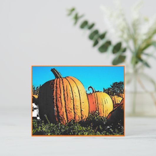 Halloween Pumpkin Patch in Daytime Briefkaart (Staand voorkant)
