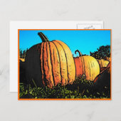 Halloween Pumpkin Patch in Daytime Briefkaart (Voorkant / Achterkant)