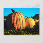 Halloween Pumpkin Patch in Daytime Briefkaart (Voorkant)