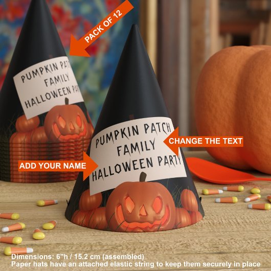 Halloween Pumpkin Patch Party Pet Feesthoedjes