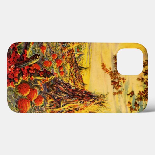 Halloween Pumpkin-pleister met Haystacks Case-Mate iPhone Case (Achterkant (horizontaal))