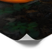 Halloween Pumpkin Poster (Hoek)
