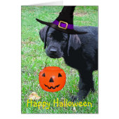 Halloween Pumpkin Puppy - Zwart lab (Voorkant)