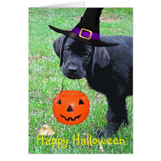 Halloween Pumpkin Puppy - Zwart lab (Voorkant)