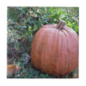 Halloween Pumpkin Tegeltje (Voorkant)