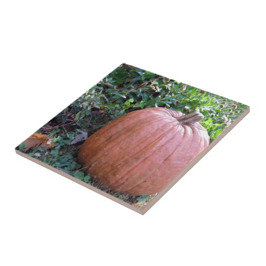 Halloween Pumpkin Tegeltje (Zijkant)