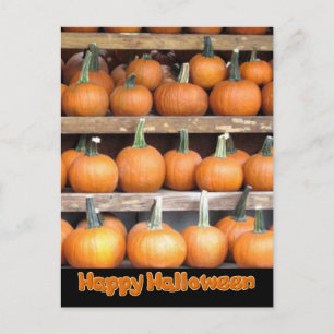 Halloween Pumpkin Wall Briefkaart