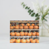 Halloween Pumpkin Wall Briefkaart (Staand voorkant)