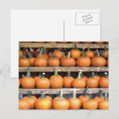 Halloween Pumpkin Wall Briefkaart (Voorkant / Achterkant)