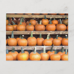 Halloween Pumpkin Wall Briefkaart
