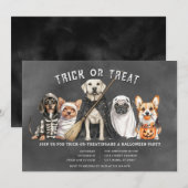 Halloween Puppies Uitnodiging voor Trick or Treat  (Voorkant / Achterkant)