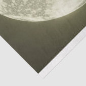 Halloween Raccoon 2 Decoupage papier (Detail)