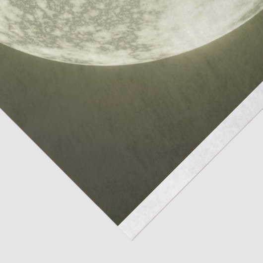 Halloween Raccoon 2 Decoupage papier (Detail)