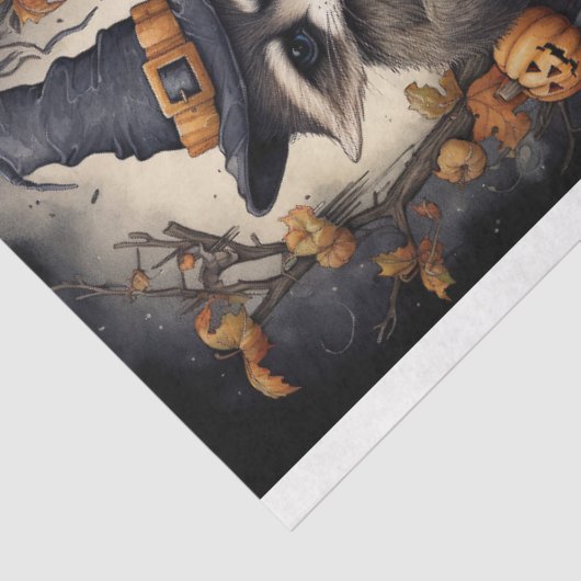 Halloween Raccoon Collage 1 Decoupage papier (Detail)