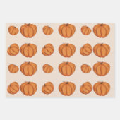 Halloween Raccoon met schedel en pompoenen Inpakpapier Vel (Voorkant 2)