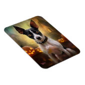 Halloween Rat Terrier met pompoenen eng Magneet (Rechterzijde)