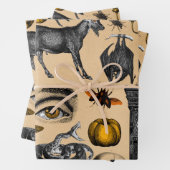 Halloween Retro Creepy Decoration Cadeaupatroon Inpakpapier Vel (In situ)