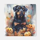 Halloween Rottweiler met pompoenen eng Magneet (Voorkant)