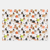 Halloween Rough Collie Inpakpapier Vel (Voorkant 3)