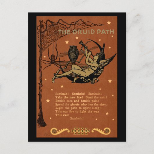Halloween Samhain Fairy Owl Spider Web Briefkaart (Voorkant)