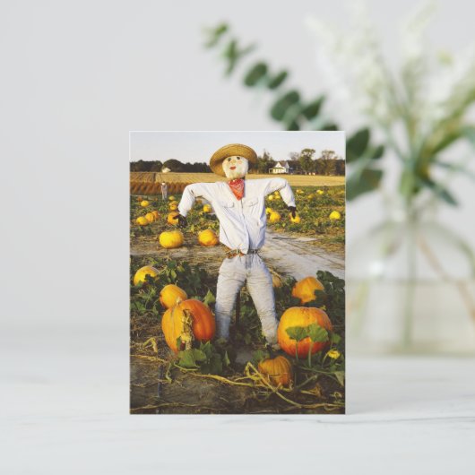 Halloween scarecrow in pompoenveld briefkaart (Staand voorkant)