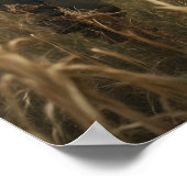 Halloween Scarecrow Poster (Hoek)